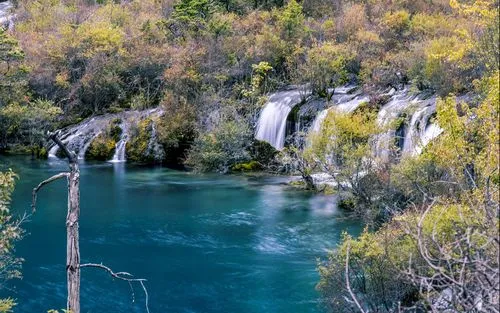 高标准高性能